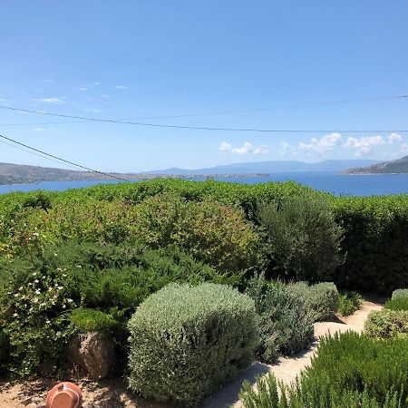 فيلا Cozy Sunset House Aegina المظهر الخارجي الصورة