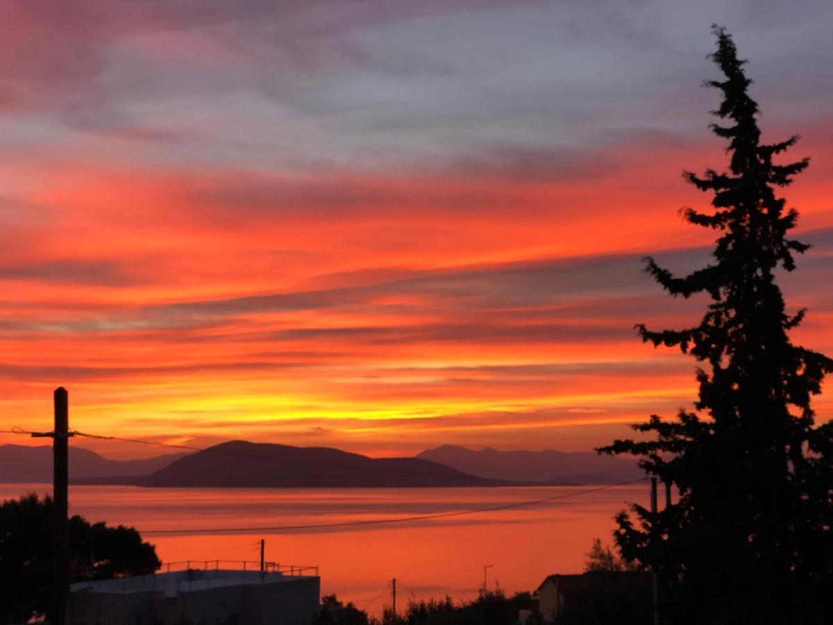 فيلا Cozy Sunset House Aegina المظهر الخارجي الصورة